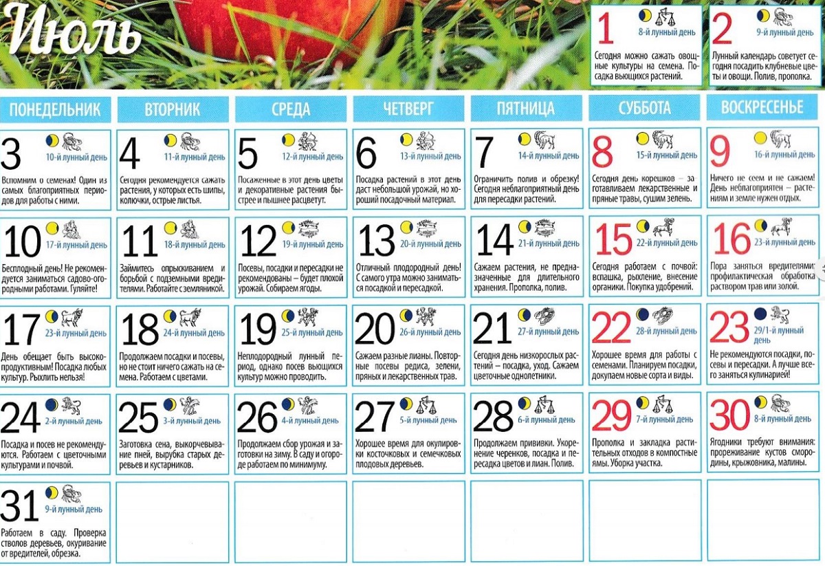 Посадочный календарь на апрель месяц 2024. Лунный календарь. Календарь садовода на июль. Лунный календарь на июль. Лунный посевной календарь на июль.